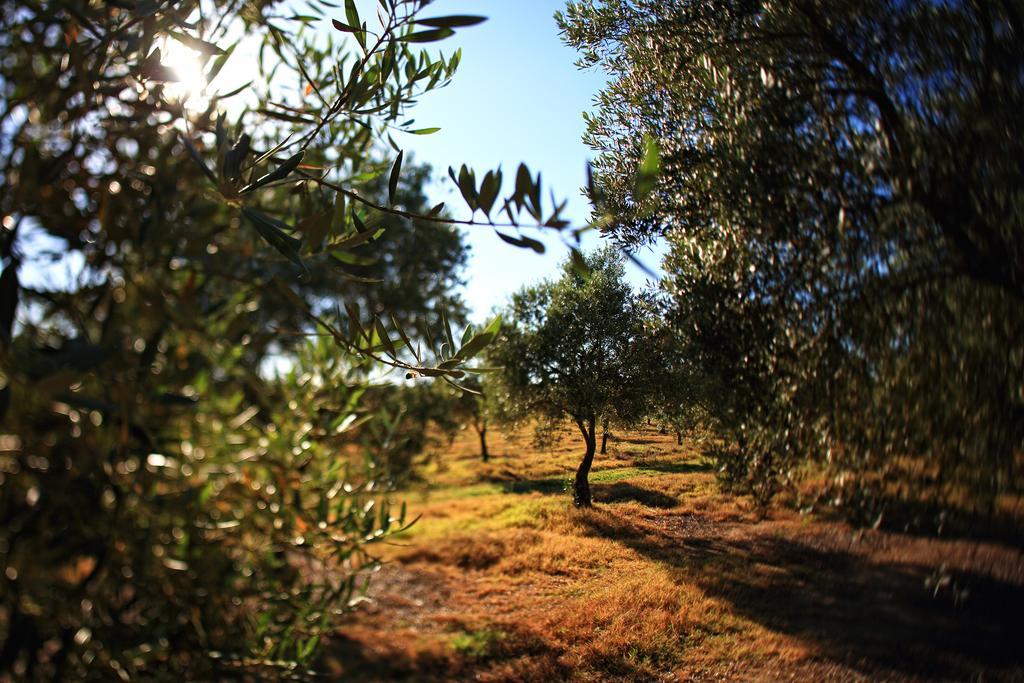 Herdade Da Calada Azaruja Extérieur photo