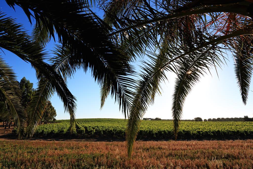 Herdade Da Calada Azaruja Extérieur photo