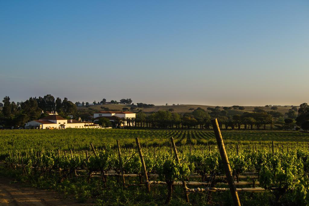 Herdade Da Calada Azaruja Extérieur photo