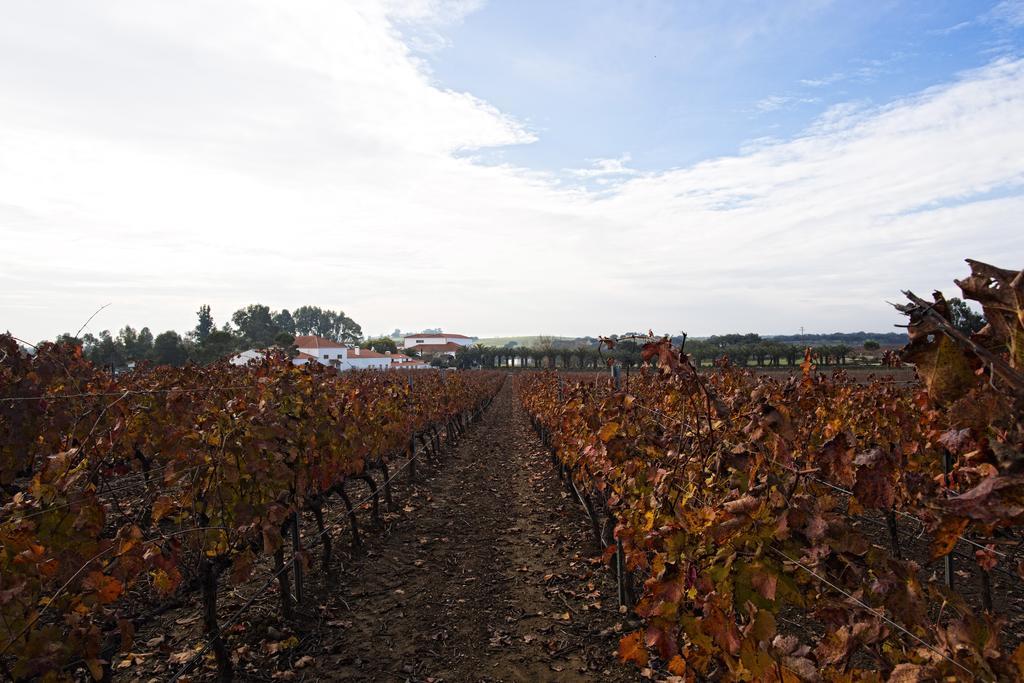 Herdade Da Calada Azaruja Extérieur photo